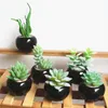 Verde da flor + vaso vaso Artificial Succulent Plantas Bonsai set falso da flor com vaso Início Varanda Decoração