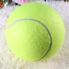 24 سم تنس كبير قابلة للنفخ لاستلواحات لعبة Pet Chew Toy Cricket C430 في الهواء الطلق