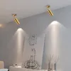 스포트라이트 북유럽 황금 표면 장착 가정 천장 하향 조명 벽 클로라크 룸 의류 상점 상업용 LED 트랙 라이트