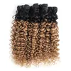 Brazilian Curly Hair Ombre Honey Blonde Water Wave Hair Bundles Color 1B/27 10-24 inch 3/4 Pieces 100% Remy Human Hair Extensions