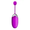 USB wiederaufladbarer Bluetooth-Wireless-Smart-App-Fernbedienungsvibrator für Frauen, vibrierender Klitoris-Sprungei-Vibrator, Kegal-Ball, Sexspielzeug