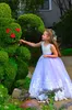 Nouveau mignon princesse fleur de lavande filles Robes manches Jewel cou dentelle robe de bal longues appliques filles Pageant enfants Brithsday GownsM29