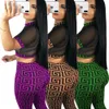 See through Sexy Two Piece Set Women Transparent Mesh Crop Top and Pencil Pants Suit Party Club Wear 2 Piece Outfits