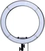 Camera Photo Studio Phone Video 55W 240PCS LED Ring Light 5500K Photography Dimmable Makeup Ring Lamp With 180CM Tripod