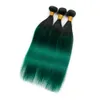 # 1B / Radici nere verdi Ombre Capelli umani 3 pacchi 300 grammi Ombre verde scuro Tessuto di capelli umani indiani vergini Fasci Doppie trame 10-30 "