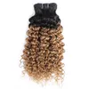 1B 27 Ombre Honey Blonde Peruup Water Wave Curly Hair Weave Bundles 2 톤 1 번들 10-24 인치 브라질 말레이시아 인간의 머리카락 확장