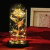 Piękna złota folia róża kwiat w szklanej kopule z LED Light Strin