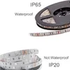 UV Light Strip Ultraviolette LED -lichten Waterdichte paarse verlichting voor dansfeest Body Paint Night Fishing IP65 IP20 600 LED CRESTECH