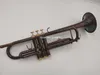Försäljning av BB trumpet mörkbrun kropp Unik antikoppar Simuleringsyta Professionellt musikinstrument med tillbehör