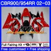 Bodys For HONDA CBR900RR CBR 954 RR CBR954RR 02 03 CBR900 RR 280HM.42 CBR 900RR CBR954 RR CBR 954RR 2002 2003 Fairing kit Red dark flames