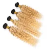 Fasci di capelli umani Ombre biondi Tessuto brasiliano a onda profonda 1B 613 Capelli umani Ombre 4 Offerte di bundle Radici scure Estensione dei capelli vergini3767823