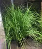 Artificial Shrubs Bushes Plastic Wheat Grass Green Leaves Fake Plants Wedding Home Garden Verandah Table Centerpieces Decoration