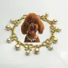 Ювелирные украшения для собачьего жемчуга кошачья кошачья кошка ожерелье для домашних животных