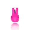 DIBE Wiederaufladbarer Kaninchen-Klitorisvibrator, 6 Geschwindigkeiten, Nippelmassagegerät, Klitoris-Stimulator, Sexprodukte, Vibrator, Sexspielzeug für Frauen, Y5196052