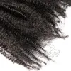 البرازيلي الطبيعي الأسود من 12 إلى 26 بوصة 4B Afro kinky Curly 120g بشرة ذيل حصان المحاذاة