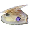 2019 Natural freshwater zircon oysters 8mm*8mm violet loose cubic zircon in oysters vacuum packed