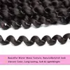 1packs Passion Hair 18 Inch Long Bohemian Braids Water Wave For Passion Crochet Flätning Hår Syntetisk hårförlängning4961644