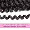 1Packs Passion Hair 18 inch Long Boheemse vlechten Watergolf voor passie Haakhaak vlechten Haar Synthetisch haaruitbreiding4243599