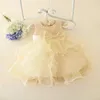 Robe de mariée en dentelle pour filles, à fleurs, robes de gâteau de baptême pour bébés filles, pour occasions de fête, pour enfants de 1 an, robe d'anniversaire pour bébé fille9828352