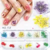 12 Griglia di fiori secchi glitter paillettes kit di decalcomanie per nail art mini secchi veri fiori naturali forniture adesivo decorazione applique 3D fo8140297