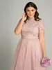 Tea Length Plus Size Prom Dresses High Neck Pink Lace Appliqued Formal Evening Gowns Cheap Short Sleeve Special Occasion Party Dress