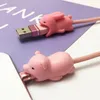 Karikatür Hayvanlar Isırıklar Telefon Kablosu Koruyucu Sevimli Hayvan Kablo Koruyucu Kablo Aksesuar Isırıkları Kordon Koruma iPhone Tipi C
