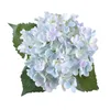 Flores artificiais 1 PC Hortênsia Bouquet para Decoração de Casa Arranjos Florais Wedding Party Decor DLH131