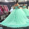 2020 Mint Green Quinceanera Suknia Ball Suknie Off Ramię Koronki 3D Rose Kwiaty Tulle Gorset Powrót Sweep Puffy Party Prom Suknie Wieczorowe