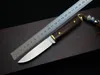 Coltello da caccia dritto di sopravvivenza piccolo 440C lama satinata con manico in palissandro completo di codolo Coltelli a lama fissa con fodero in pelle