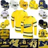 Michigan Woerines Hockey Jersey Jackson Hallum Gavin Brindley Eric Ciccolini Mark Estapa Steven Holtz Keaton Pehrson Nolan Moyle Jay