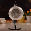 Micro Paisagem DIY forma de garrafa Bola de plantas vaso de vidro com a cremalheira Ferro