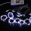 100LED 200led 300LED Шторы свет шнура медного провода свет шнура Fairy Garland USB гирлянд Рождественские украшения праздника