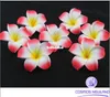 200pcs Dekoracje stołowe Plumeria Hawaiian Floam Frangipani Flower for Wedding Party Decoration Romance3818282