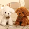 Kahverengi Beyaz Altın Yavru Dolması Hayvanlar Teddy Köpek Küçük Köpek Yumuşak Bebekler Bebek Çocuk Oyuncakları Çocuk Doğum Günü Partisi Hediyeler Için