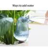 Wholesale Plastic Automatic Watering Bulbs Plant Watering Globe Flower Irrigation Tool, Bird Star Ball Shape Drip watering dispenser