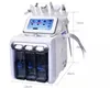 6 po de bonne qualité multifonction H2O2 Hydrogène Oxygène Small Bubble Machine Éclairage facial et rajeunissement de la peau Machine 4832593