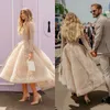 2020 robes de mariée modernes dentelle grande taille à manches longues robe de mariée longueur cheville une ligne robes de mariée