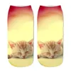 3D Animal Cat Impresso Autumn Women Roufera Moda curta Socha curta - Meias casuais fofas para mulheres Girls1999942