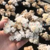 Raw Minerals Mixed Random Size Random Color Free Shape Natural Stone Calcite Cluster 2000 Grams Rough Crystal Flowers Specimen Collection