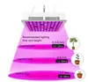 300W full spektrum LED-växt växa ljuslampa för växt inomhus Nursery Flower Fruit Veg hydroponics system växer tält Fitolampy