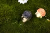 Decorazione in miniatura 2 pezzi Artigianato in cartone animato Ornamento di tartaruga da giardino Decorazione in resina Figurine di terrario Micro paesaggio