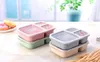 3 Gitter-Lunchboxen mit Deckel, Aufbewahrungsbox für Lebensmittel, Obst, Mikrowelle, zum Herausnehmen, Geschirr-Sets