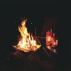 IPREE® Folding Camp Piec Ogniowa Rama Stojak Drewno Spalarnia Grzejnik Stojak ze stali nierdzewnej