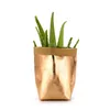 Mini Succulents Dikim Pot Yıkanabilir Kraft Kağıt Saksı Yaratıcı Masaüstü Saksılar Kullanımlık İşlevli Ev Saklama Çantası
