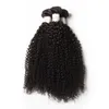 Trames Beaux cheveux bouclés afro crépus pour Afrique Femme 3 bundles lot Indien Péruvien Brésilien vierge extensions de cheveux bouclés bohème cur