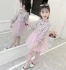 Ragazze 2020 primavera abbigliamento per bambini nuovi bambini gonna principessa gonna a rete per bambini vestito dalla ragazza coreana WY616