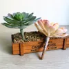 Hoogte = 14 cm diameter = 12 cm grote lotus kunstmatige bloem vetplanten planten voor huizentuin decoratie diy planten muuraccessoires