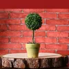 Simulazione retrò fiore bonsai casa ornamenti creativi selvatici vari stili mini decorazione desktop in vaso falso EEA409