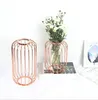 Love Cage Jars Nordic Luxury Transparent Glass Bottles Creative Iron Art Hydroponic Vase Arrangement Dry Flower Living Room Decoration