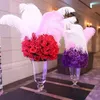 Colorful 20-22 pollici (50-55 cm) piume di struzzo piuma per centro di nozze festa nuziale della decorazione di evento festoso Z134